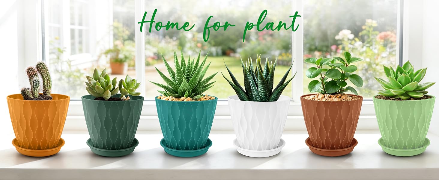 Plant Pots