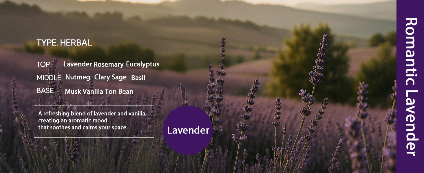 lavender