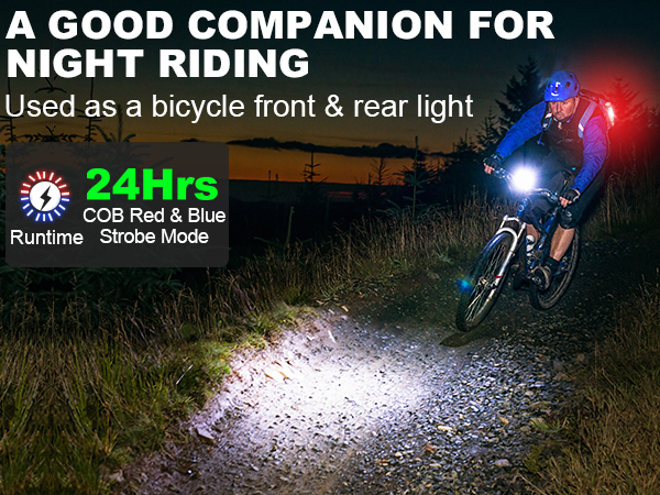 Companion For Night Riding