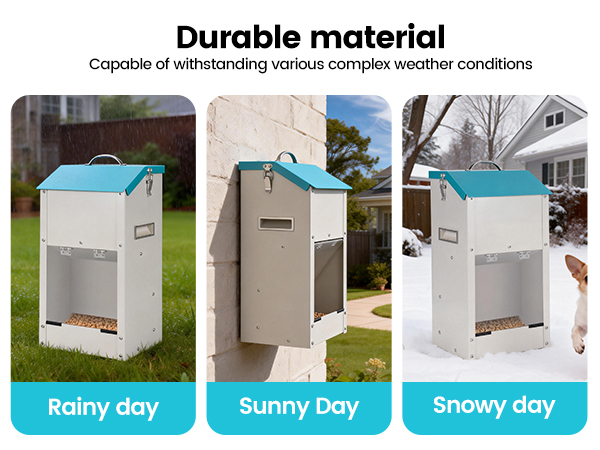 automatic dog food dispenser