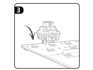 MX Mechanical Keyboard switch