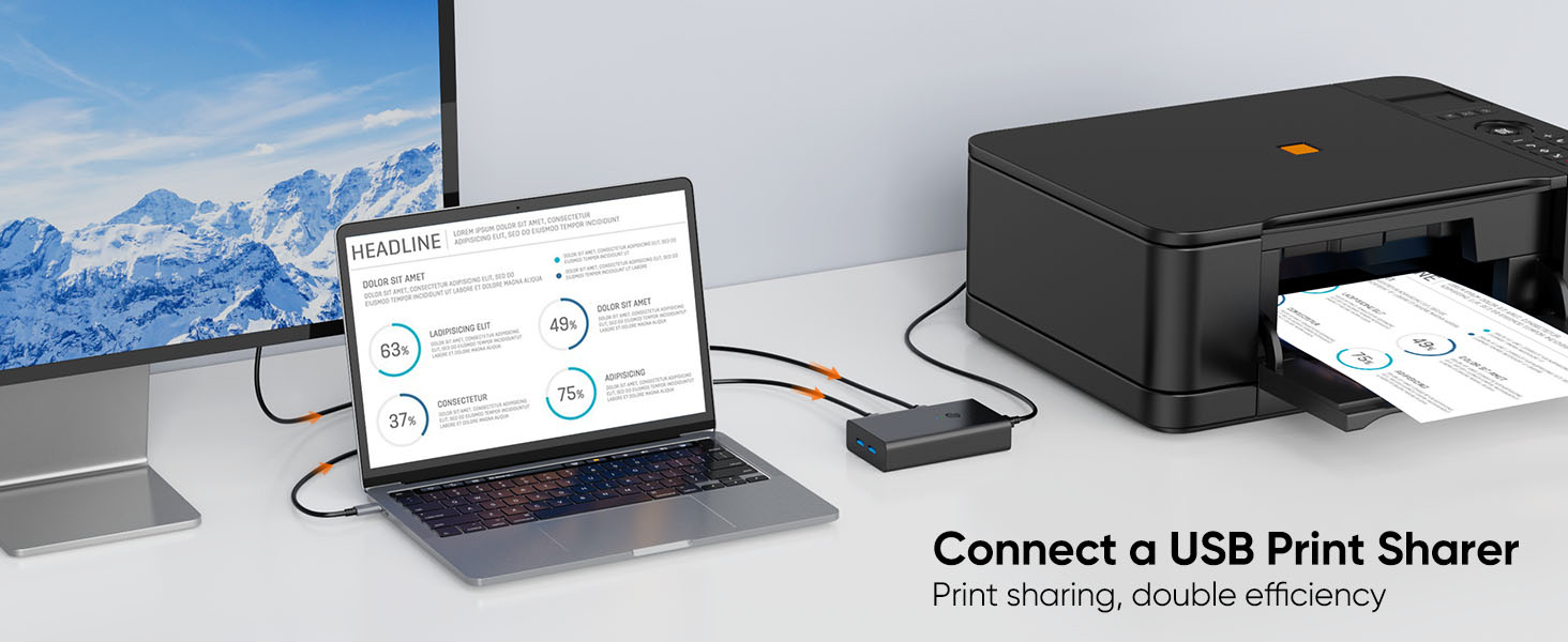 For USB Print Sharer