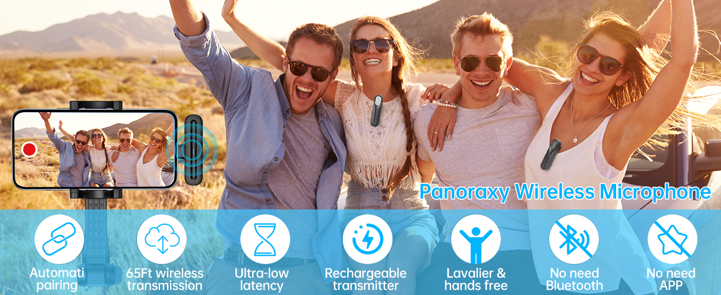 2-in-1 Mini Small Wireless Mic for Phone