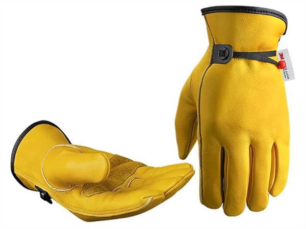 winter glove