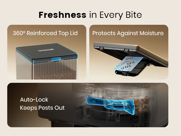 automatic cat feeder