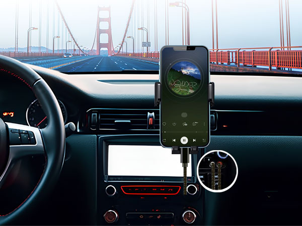 lightning to rca adapter