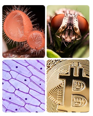 Vorth Microscope for Kids