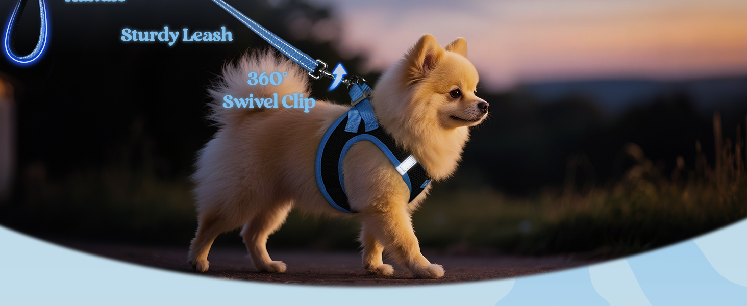  rabbitgoo Dog Harness