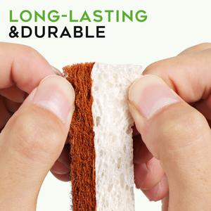 long lasting sponge