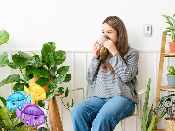 Boost the humidity in the air in your everyday life