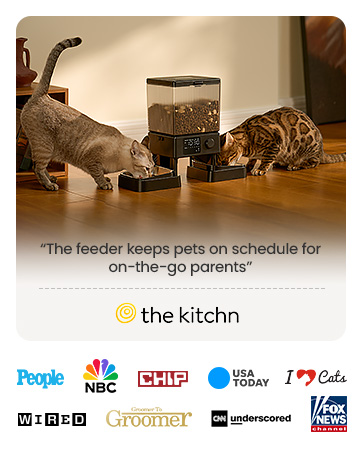 automatic cat feeder