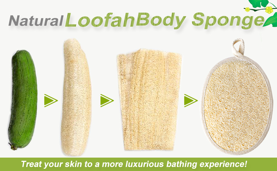 Exfoliating Loofah Sponge Pad