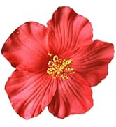 Red Hawaiian Flower Hair Clip for Women Girls Fashion Bohemian Flowers Hair Accessory for Dancer ...