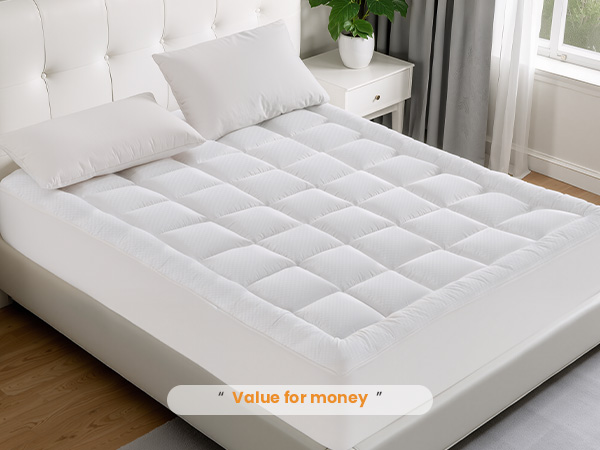 twin size twin xl extra long full queen california cal rv king rv short queen mattress protector