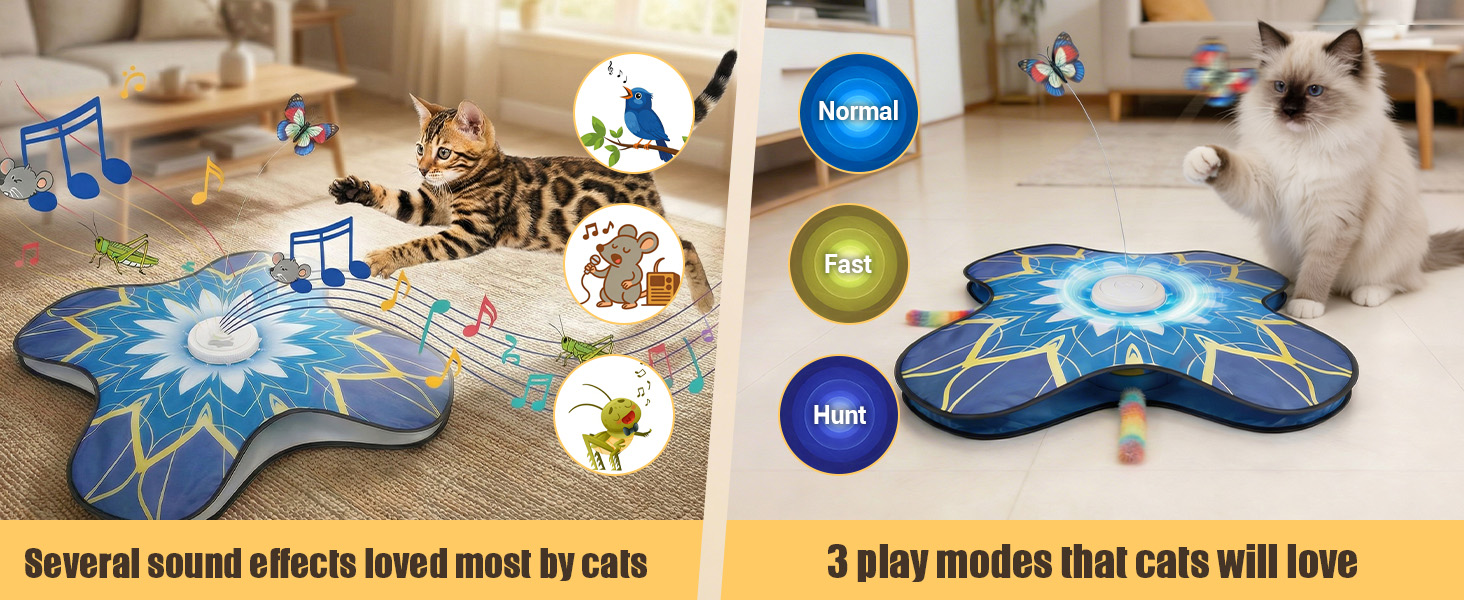 Cat Play Mat for Bored Adult Kittens