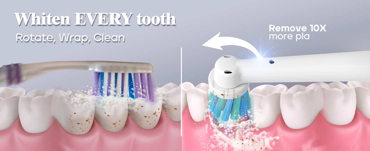 whiten every tooth rotate, wrap, clean