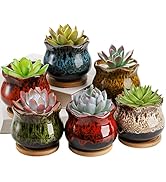 TOPZEA Set of 6 Succulent Plant Pots, 4 Inch Glazed Ceramic Cute Plant Pots with Drainage and Sau...