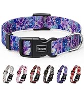 purple dog collar