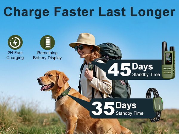 training collars for large dogs