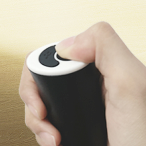 Milk Frother Handheld