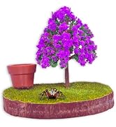 Daerky Jumping Spider Wall Bracket,Featuring a magnetically Concealed Habitat for Jumping Spiders...