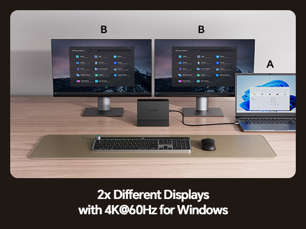 laptop docking station dual monitor