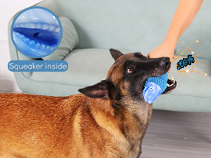 dog toys for medium dogs