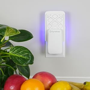 Dynatrap Indoor Fly Trap discreet design