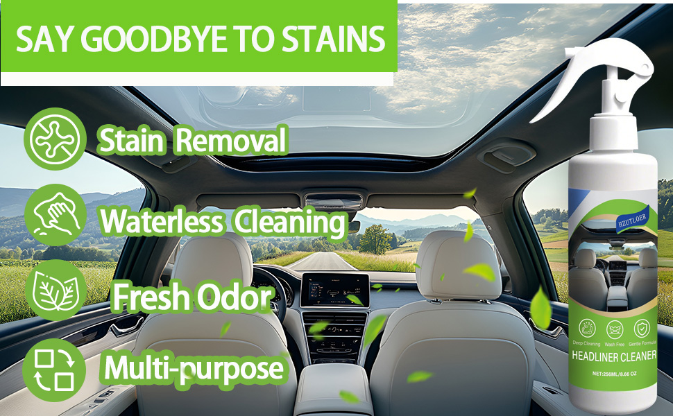 Headliner Cleaner
