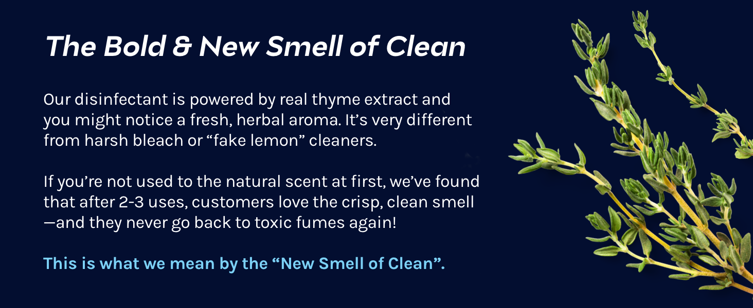 The Bold &amp; New Smell of Clean