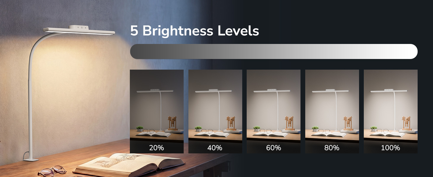 Text reads '5 Brightness Levels'. Demonstration of lamp brightness settings showing progressive illumination levels from 40% to 120%.