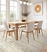 dining room rug
