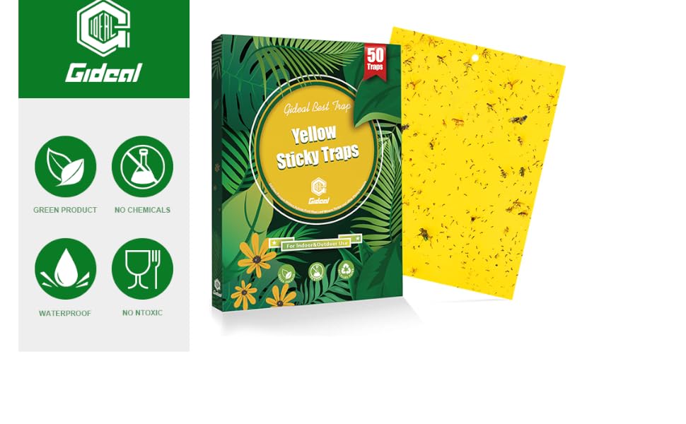 yellow sticky traps