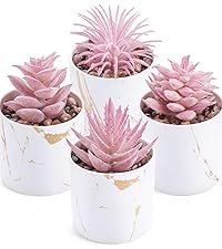 https://m.media-amazon.com/images/S/aplus-media-library-service-media/34d7f6d9-d9e9-4866-86b0-ae060b292d90.__CR0,0,800,900_PT0_SX200_V1___.jpg