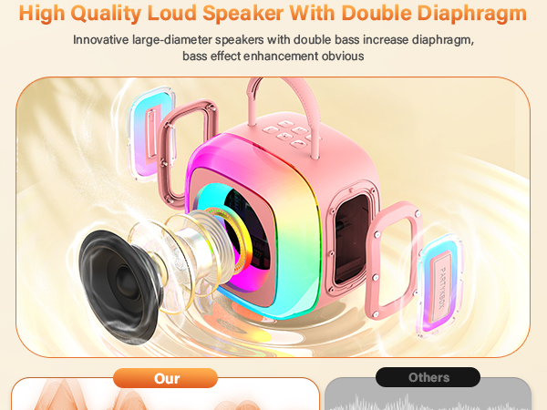 Bluetooth Speaker with 2 Wireless Microphone