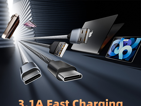 10FT USB to USB C Cable Fast Charging Cords