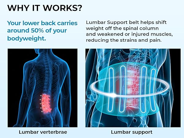 back brace for men lower back