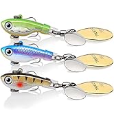 TRUSCEND Titanium Weed Guard Swim Jig with Ultra Smooth Teflon Coated BKK Hook, Tour Grade Skirte...