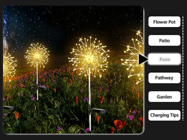 solar firefly lights
