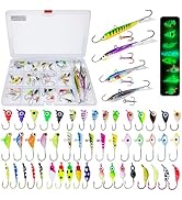 Bombite 52Pcs Ice Fishing Lures Ice Fishing Jigs Kit Glowing Paint Ice Fishing Jig Heads for Crap...