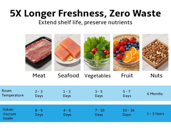 vacuum sealer for food