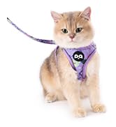 purple floral cat harness leash