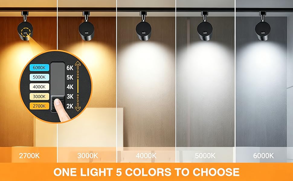 5 color track light heads