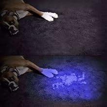 UV Flashlight applications-1