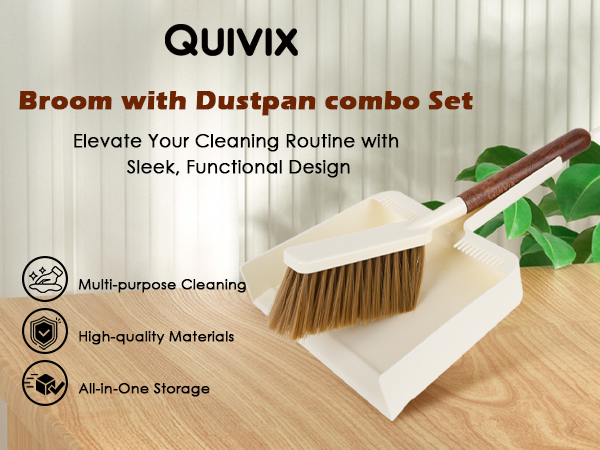 hand broom and dustpan set