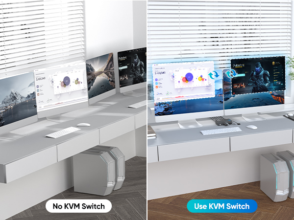 kvm switch 2 monitors 2 computers