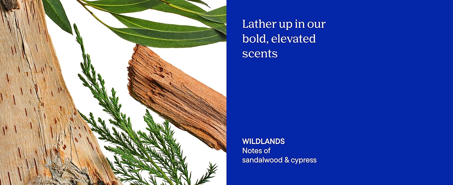 body wash scents