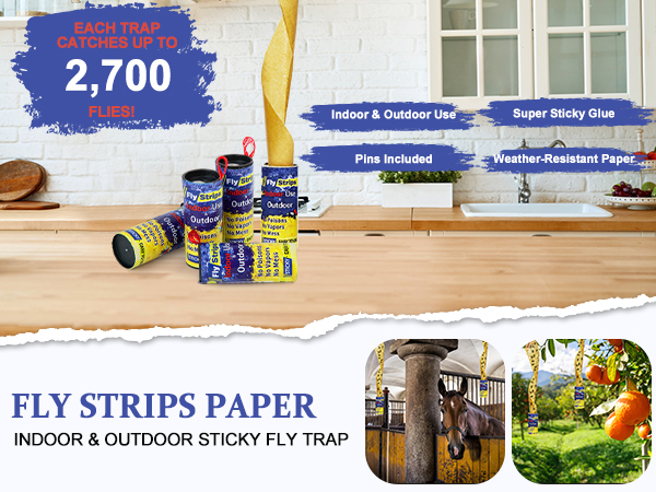 fly strip