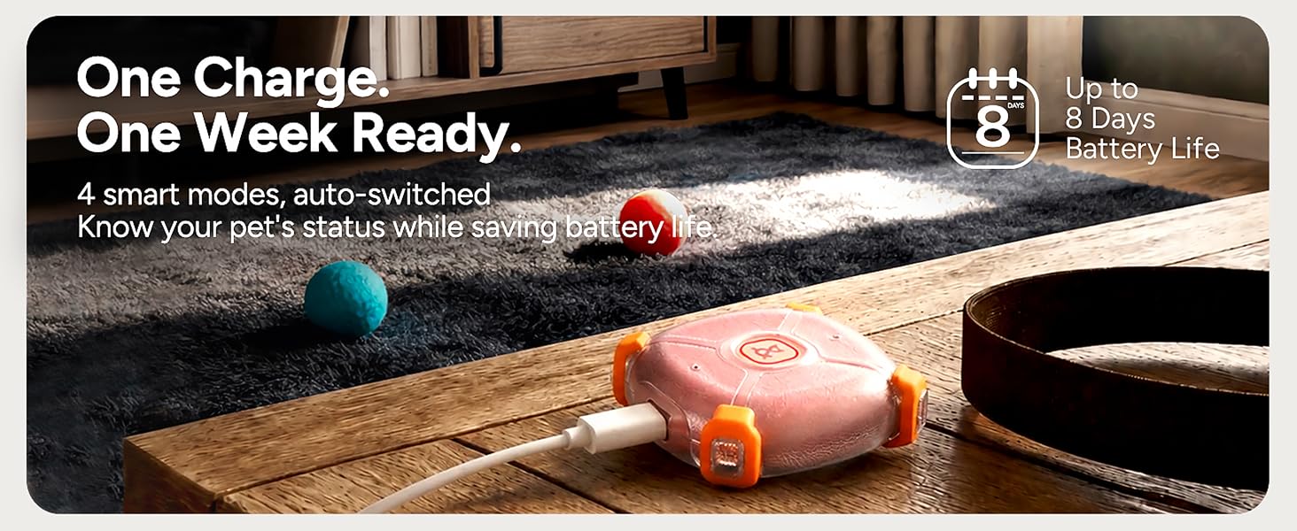 pet tracker for dog
