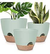 YNNICO 12" 10" 9" Large Self Watering Plant Pots, 3 Pack Flower Pots Planters with Multi Mesh Dra...